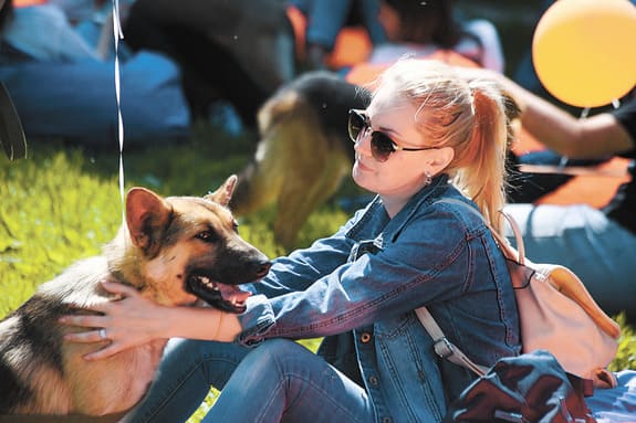 собака не кусается